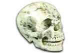 Realistic, Polished Tree Agate Skull #382185-1